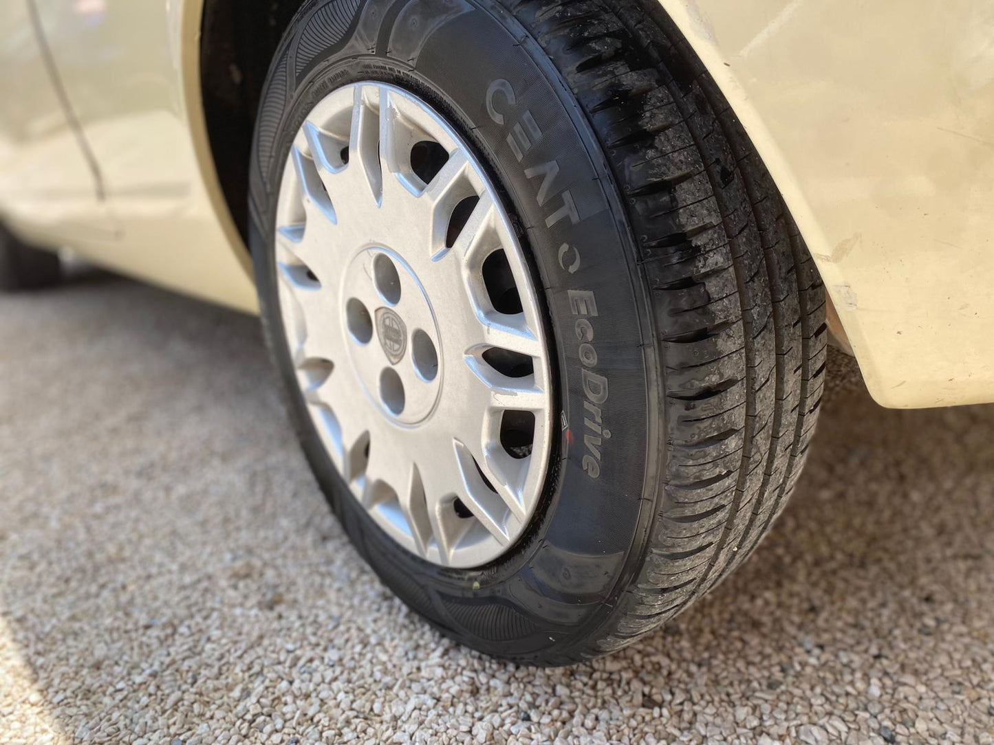 Lancia Ypsilon 1.2 Benzina ⛽️